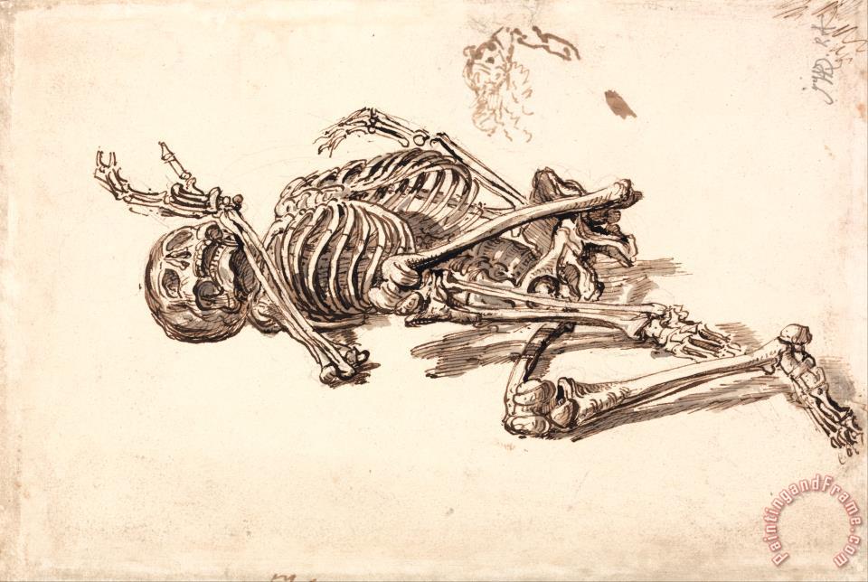 960x644 James Ward A Human Skeleton Painting - Skeleton Painting