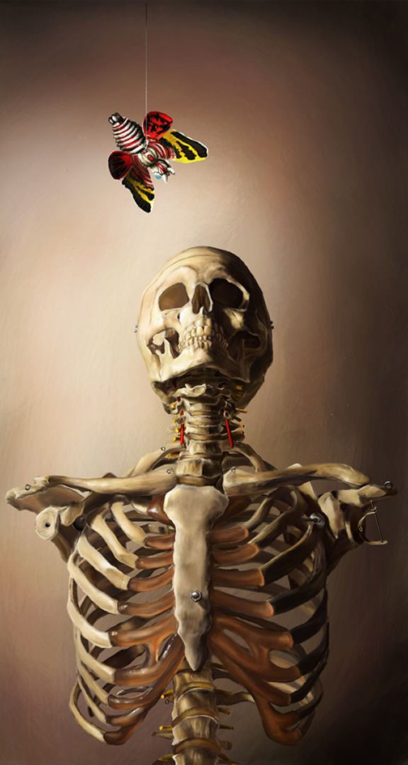 576x1080 Skeleton And Mothra Still Life By Katherine Arisumi Skull - Skeleton Painting