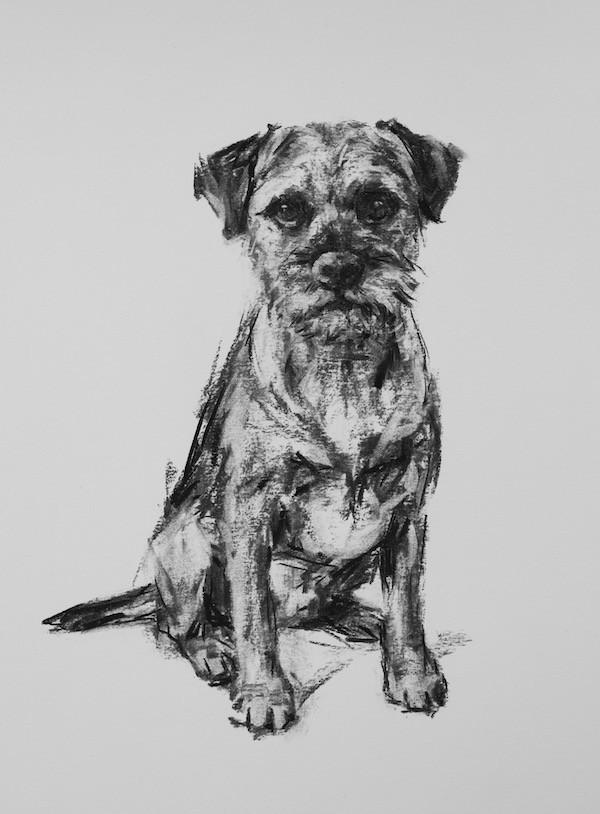 600x814 Paintmydog Dog Art Contemporary Dog Portraits - Sketch For Painting With White Border