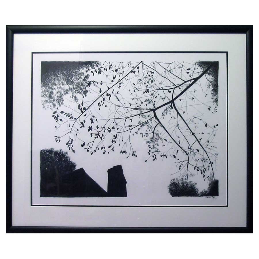 900x900 Flowers Black And White Photography Ascension In Frame Border - Sketch For Painting With White Border