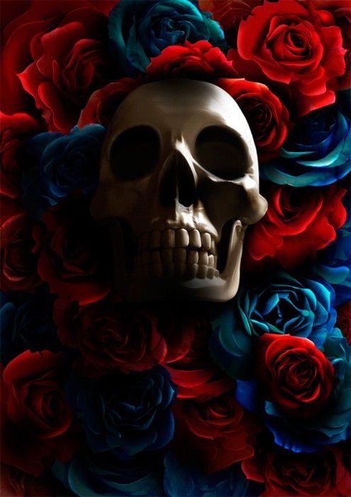 495x700 272 Best Caverias Images On Skull Art, Skulls - Skull And Roses Painting
