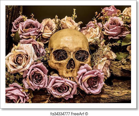 560x470 Free Art Print Of Still Life Human Skull With Roses Background - Skull And Roses Painting