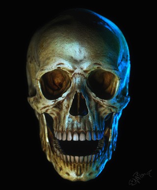 320x387 Whole Sale Price Top Original Art Amazed Skull Oil Painting 36 - Skull Art Painting