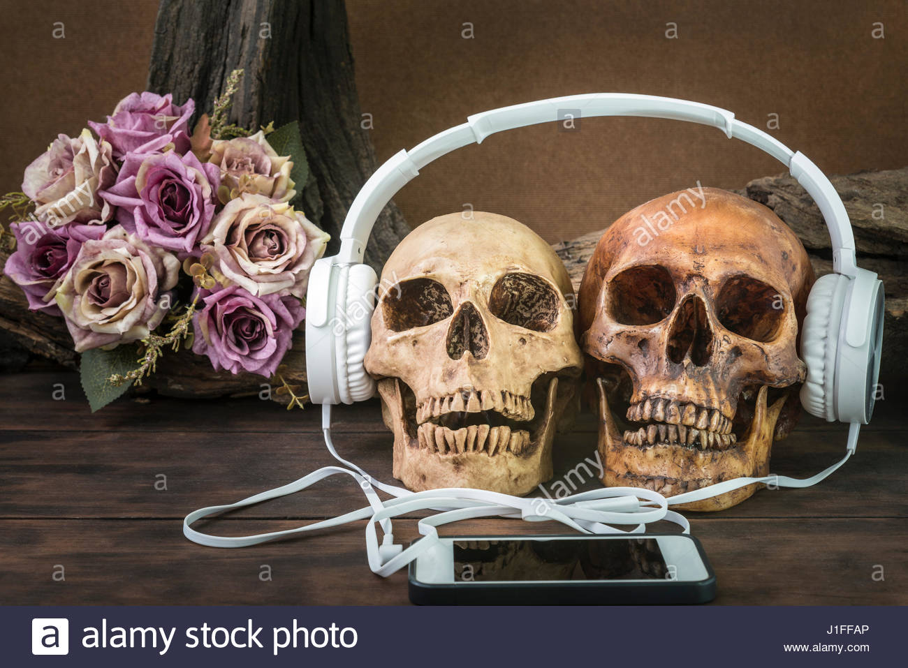 1300x957 Still Life Painting Photography With Couple Skull Listening - Skull Flower Painting