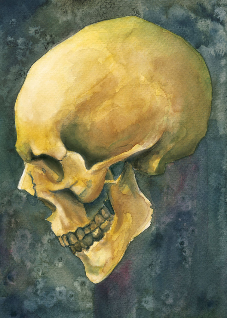 755x1057 Skull Watercolor Painting - Skull Watercolor Painting