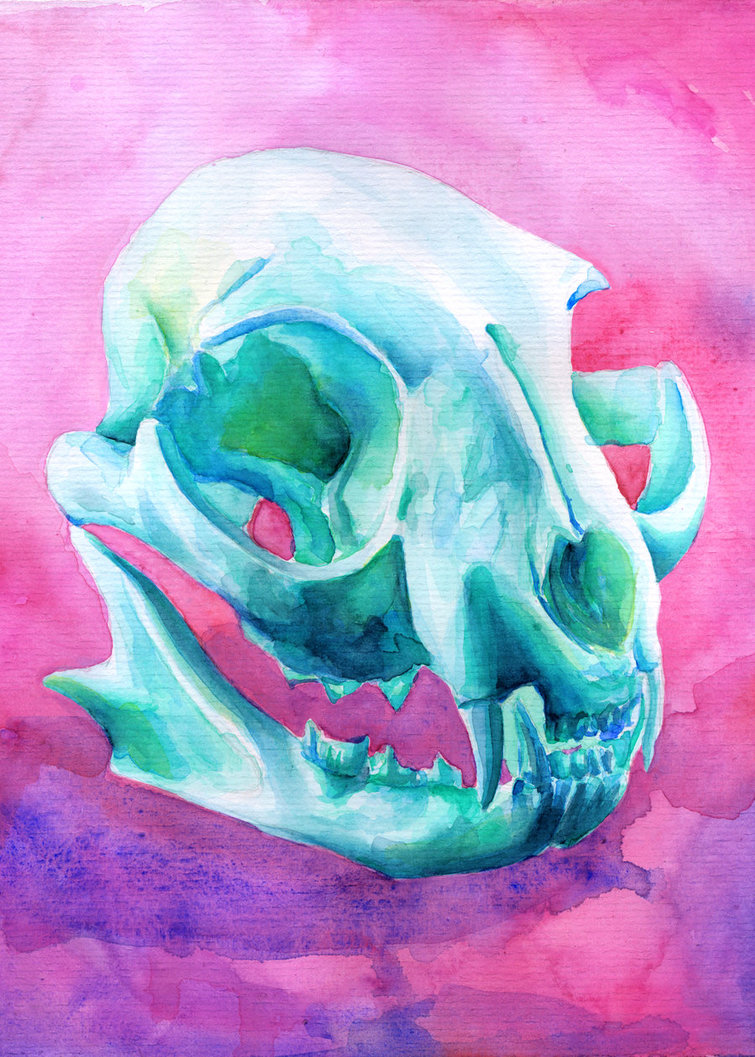 755x1057 Cat Skull Watercolor Painting - Skull Watercolor Painting