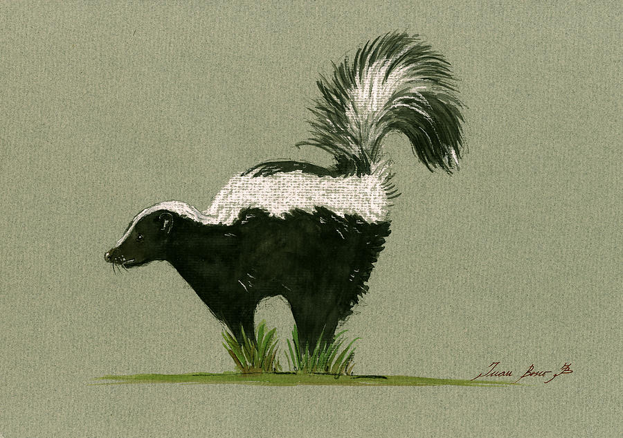 900x633 Skunk Painting By Juan Bosco - Skunk Painting