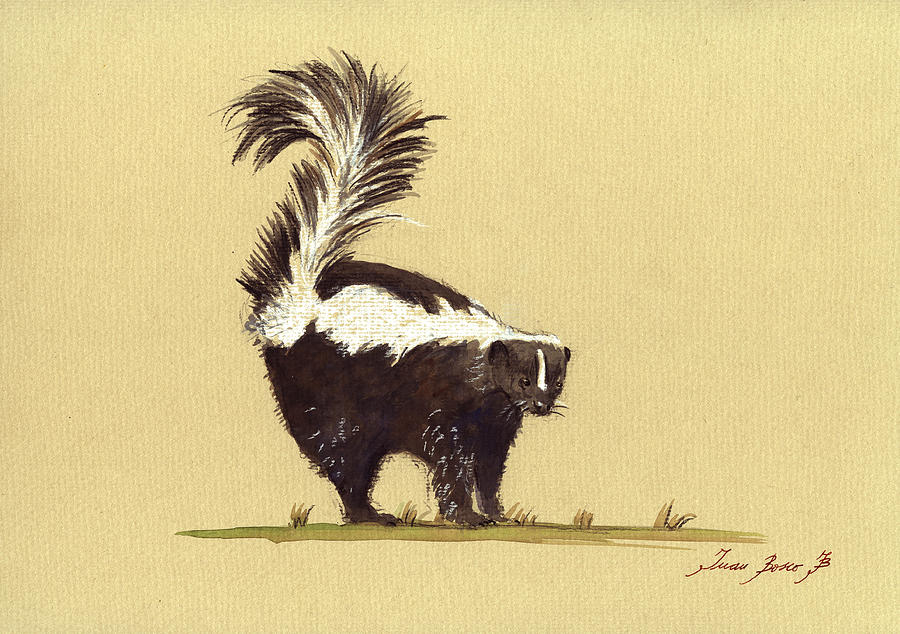900x634 Skunk Watercolor Painting By Juan Bosco - Skunk Painting