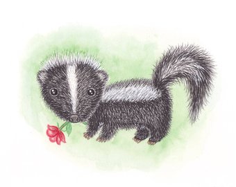 340x270 Skunk Painting Etsy - Skunk Painting