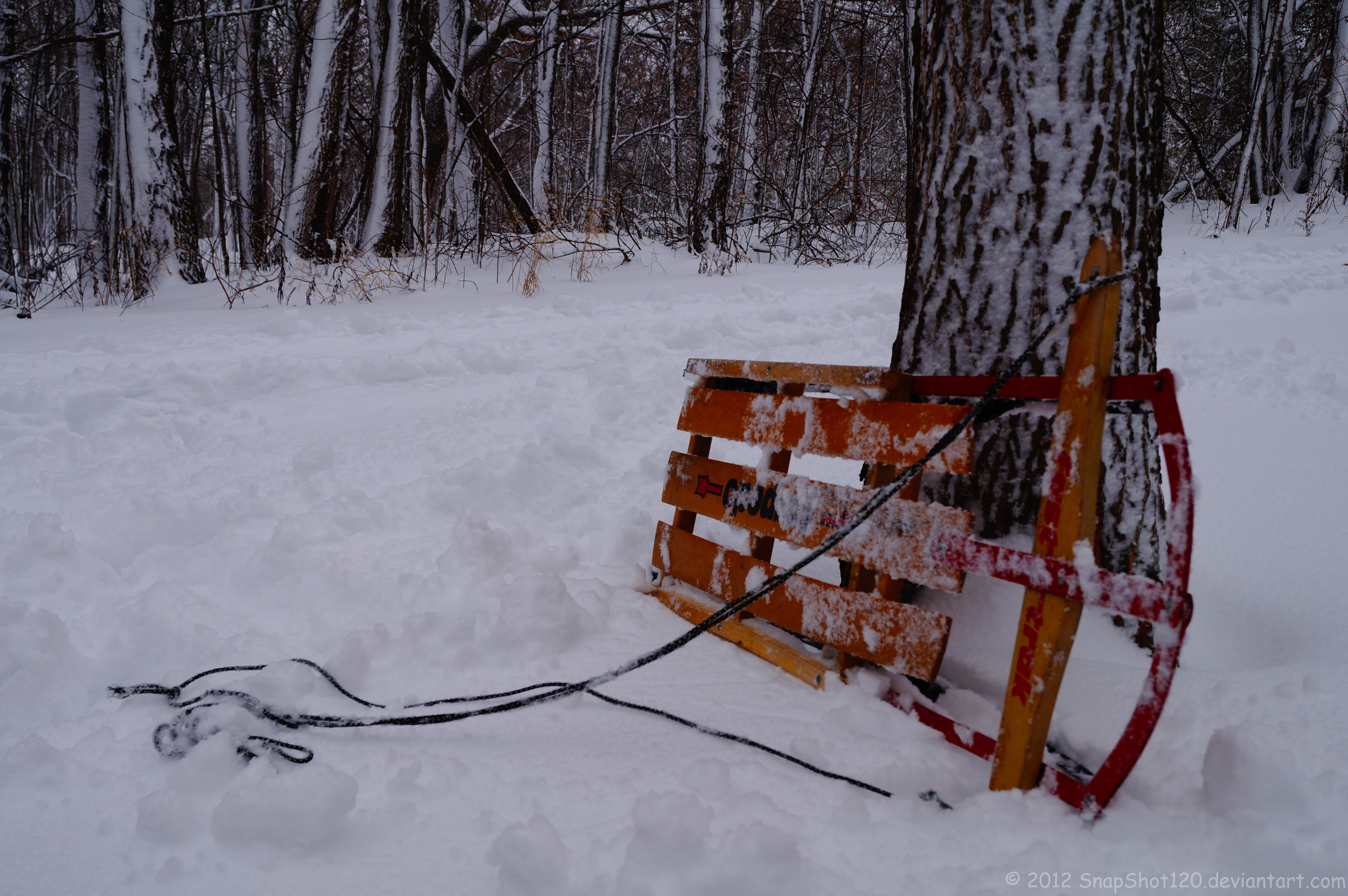 4912x3264 Sled Leaning Against A Tree Stock By Snapshot120 - Sled Painting