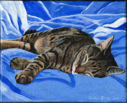 486x393 Paintings By Constance Shields - Sleeping Cat Painting