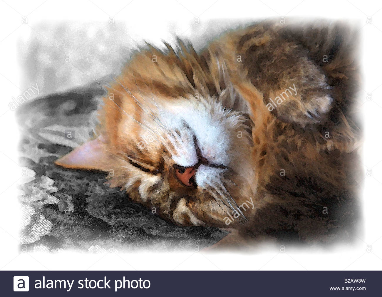 1300x1011 A Nice Sleeping Cat. Water Colour Painting Effect Stock Photo - Sleeping Cat Painting
