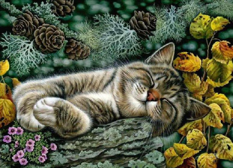 776x559 Sleeping Cat Painting. Irina Garmashova - Sleeping Cat Painting
