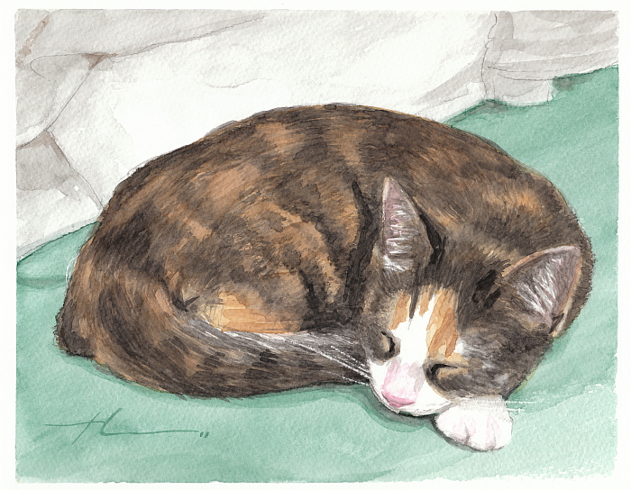 700x544 Sleeping Cat Watercolor By Mike Theuer Daler Rowney - Sleeping Cat Painting