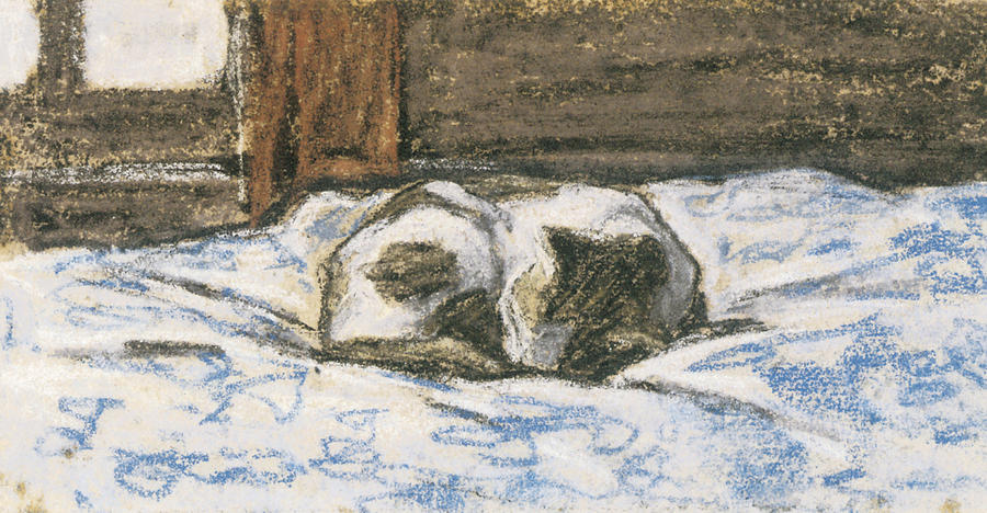 900x468 Cat Sleeping On A Bed Painting By Claude Monet - Sleeping Cat Painting