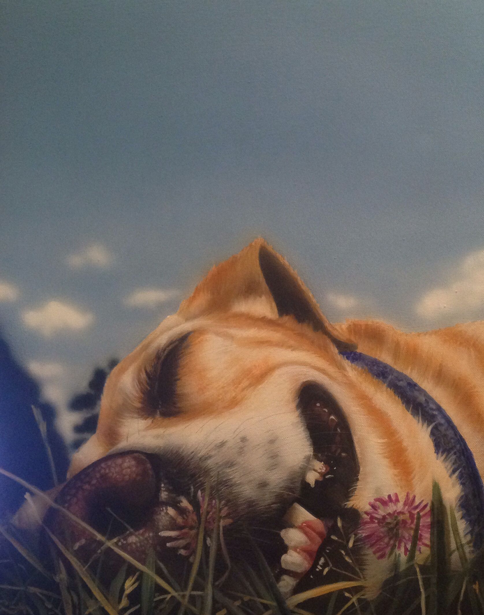 1676x2132 Dog Art, Dog Painting, Sleeping Dog, Dog Artwork On Canvas My - Sleeping Dog Painting