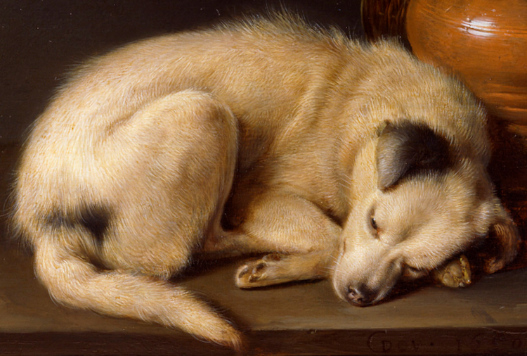 750x506 Gods And Foolish Grandeur Sleeping Dog, By Gerrit Dou, 1650 - Sleeping Dog Painting