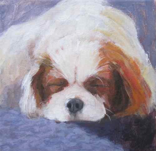 500x487 Original Sleeping Dog Canvas Painting By Kazumi 8 X 8 Inches - Sleeping Dog Painting