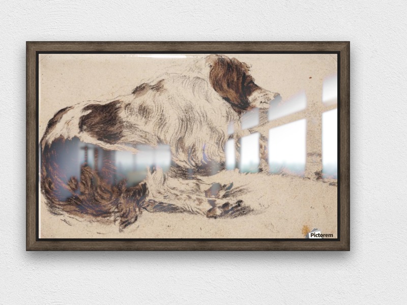 800x600 Sleeping Dog - Sleeping Dog Painting