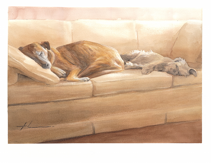 700x544 Sleeping Dogs Watercolor By Mike Theuer Daler Rowney - Sleeping Dog Painting