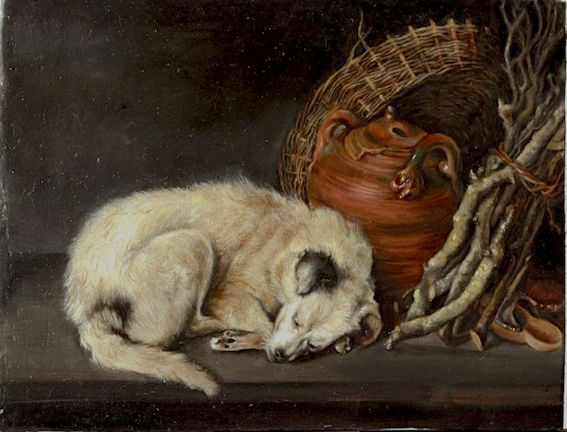 567x432 Sleeping Dog.jpg (Licia Chiappori) - Sleeping Dog Painting