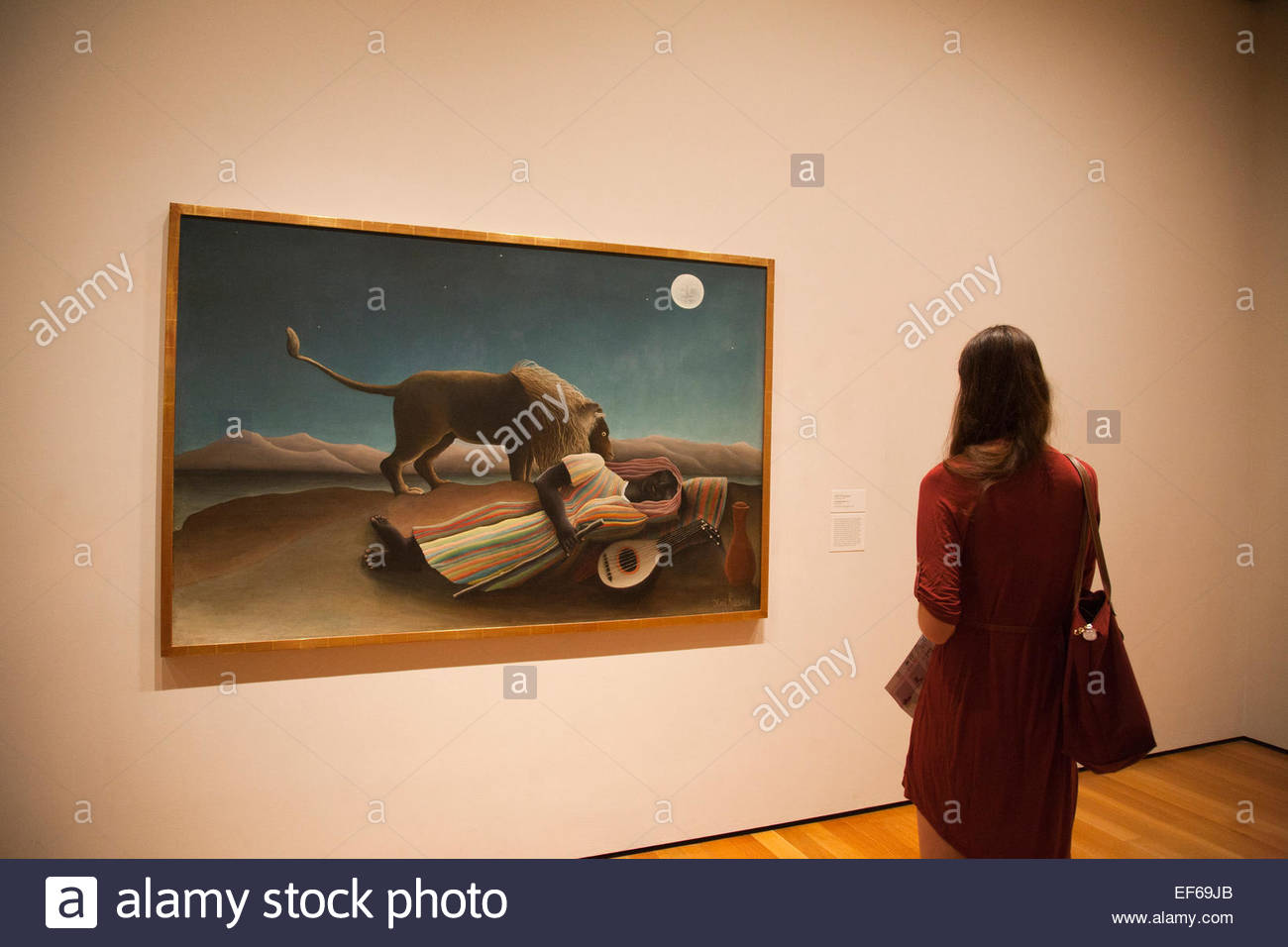 1300x956 The Sleeping Gypsy, 1897, Painting By Henri Rousseau, Moma, Museum - Sleeping Gypsy Painting