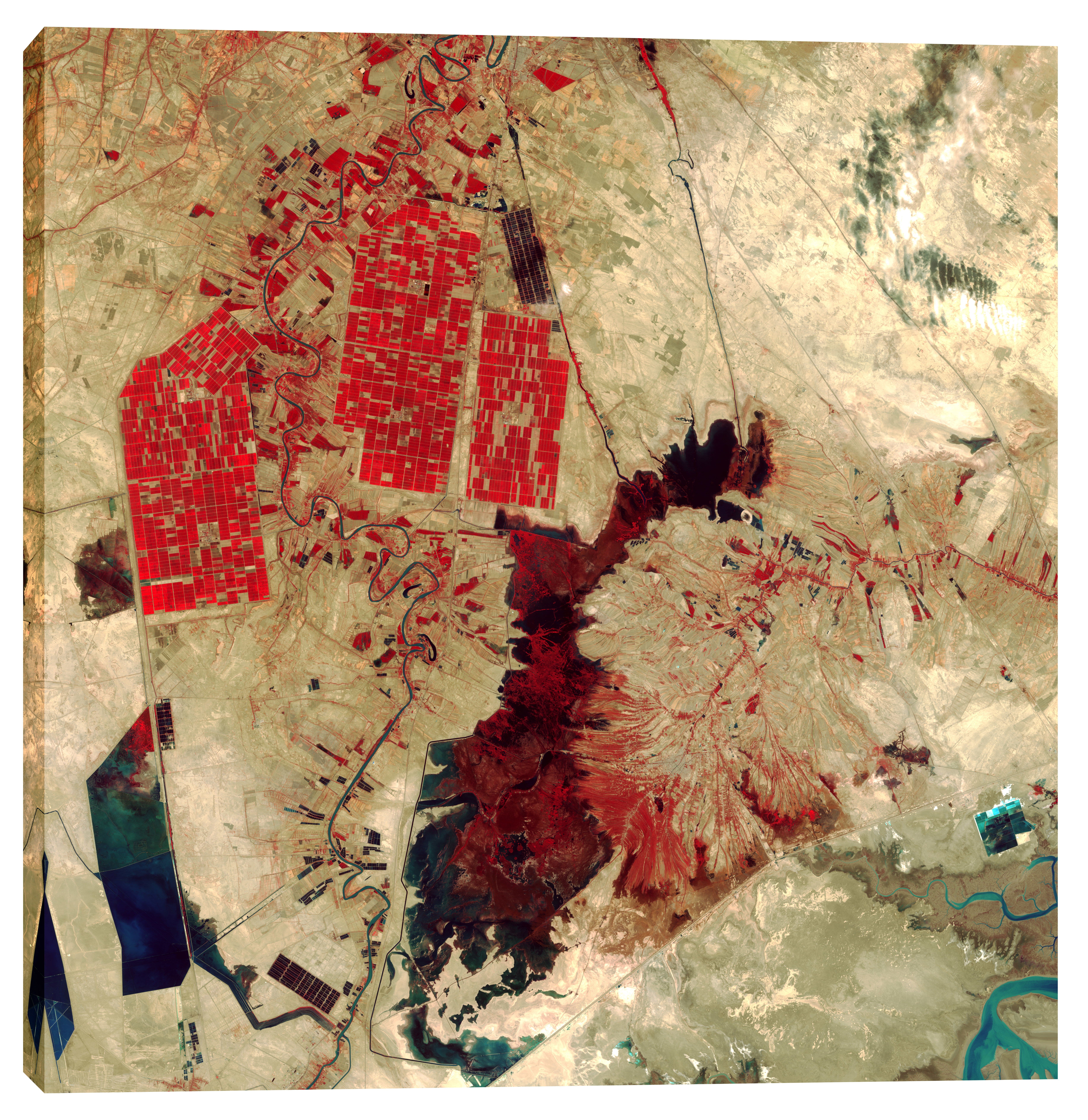 7343x7558 Epic Graffiti Earth As Art - Sloppy Painting