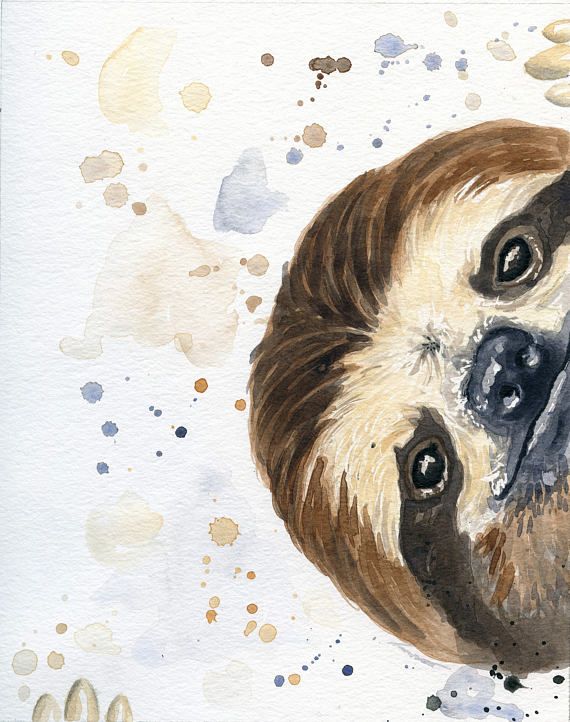 570x722 Sloth Art - Sloth Painting