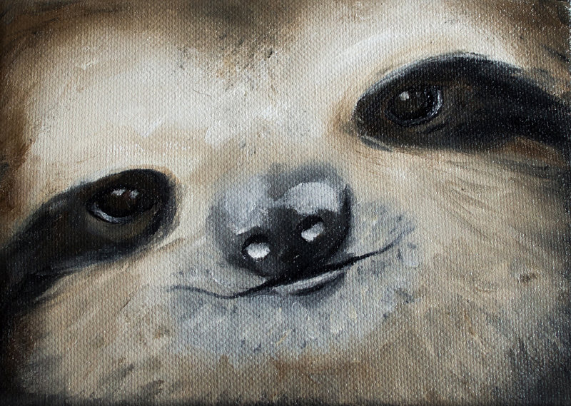 800x569 Sloth Oil Painting By Vandalann - Sloth Painting