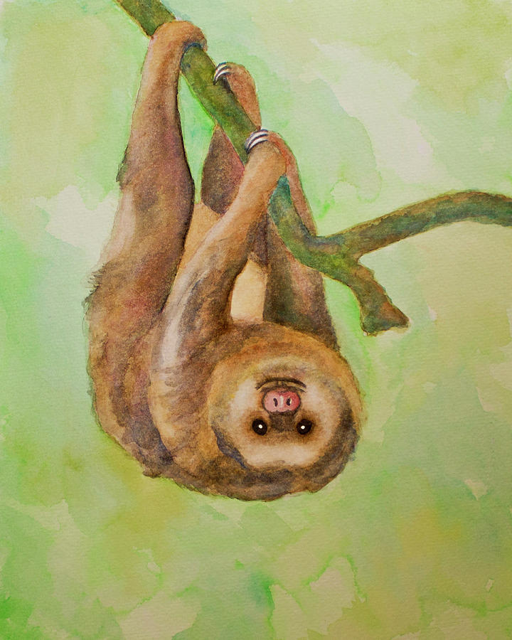 720x900 Two Toed Sloth Painting By Kim Wagner Nolan - Sloth Painting