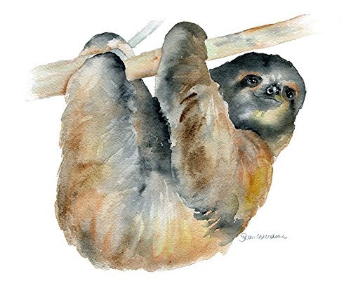 500x400 Sloth Watercolor Painting Giclee Print Reproduction - Sloth Painting