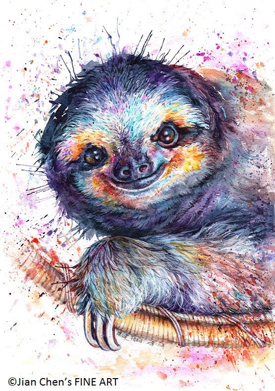 555x789 Sloth Mounted Original Painting By Jianchensfineart On Etsy - Sloth Painting