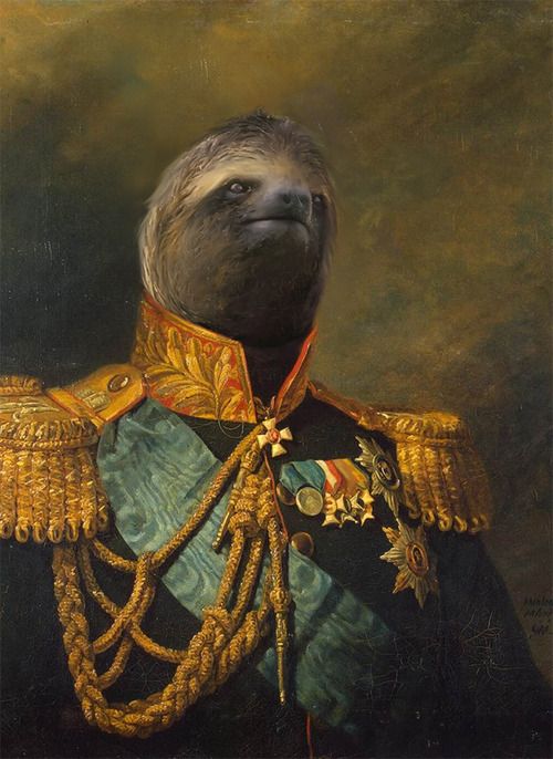 500x686 Three Toed Sloth Painting Sloths! - Sloth Painting