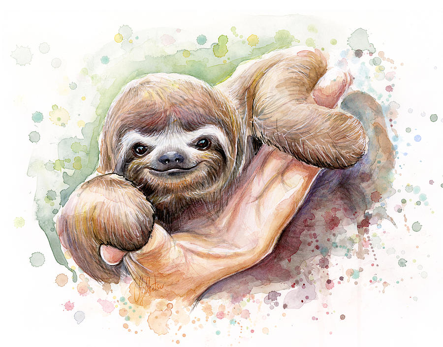 900x705 Baby Sloth Watercolor Painting By Olga Shvartsur - Sloth Painting