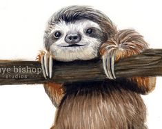 235x187 Happy Sloth Canvas Wall Art Choose Your Corinastmartinart - Sloth Painting
