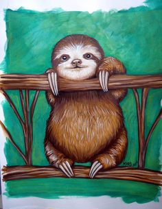 236x305 Image Result For Drawings Of A Sloth Inspiration - Sloth Painting