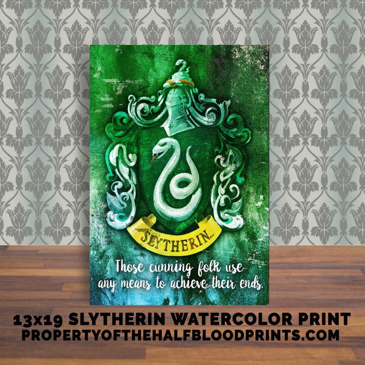 Slytherin Painting