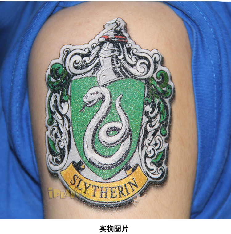 750x762 Harry Potter Slytherin Logo Multicolour Tattoo For Body Art - Slytherin Painting