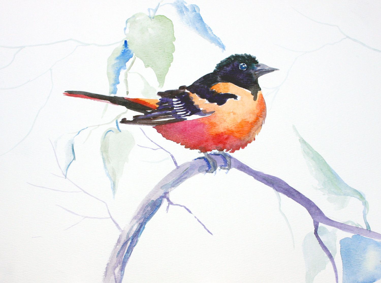 1500x1116 Small Bird (Original Watercolor Painting 9 X 12) - Small Bird Painting