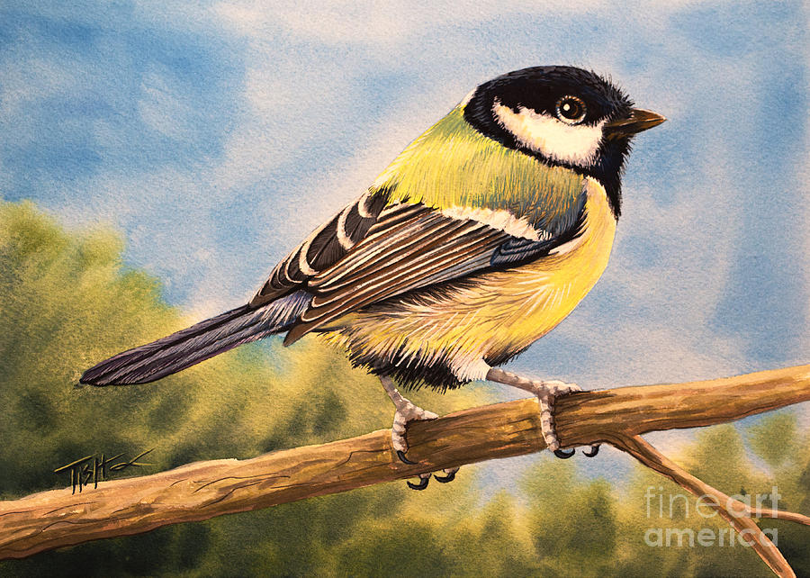 900x642 Small Bird Painting By Tish Wynne - Small Bird Painting