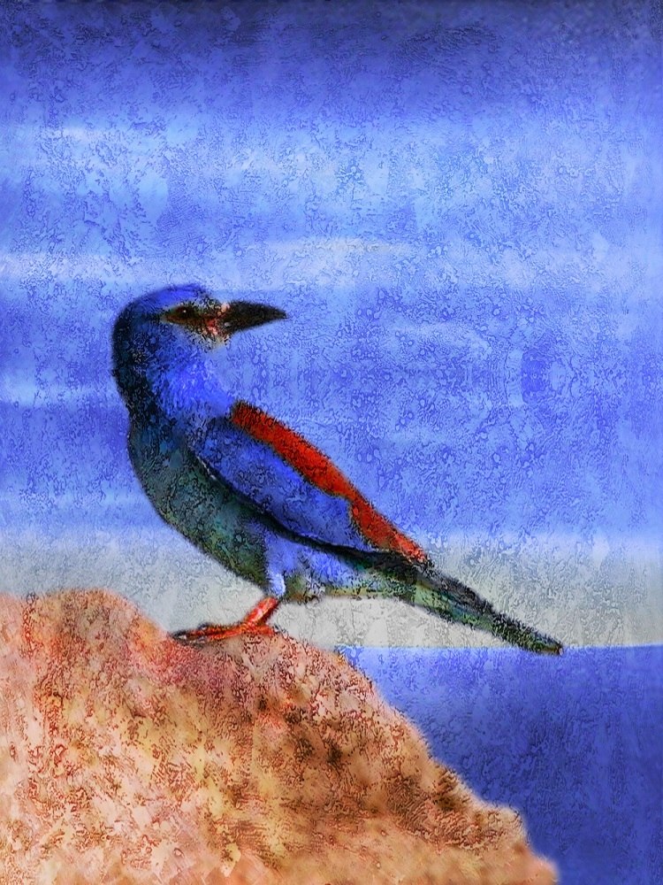 750x1000 Buy Beautiful Bird 15 By Community Artists Group@ Rs. 9290. Code - Small Bird Painting