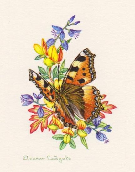 431x550 Small Butterflies Small Tortoiseshell Butterfly By Butterfly - Small Butterfly Painting