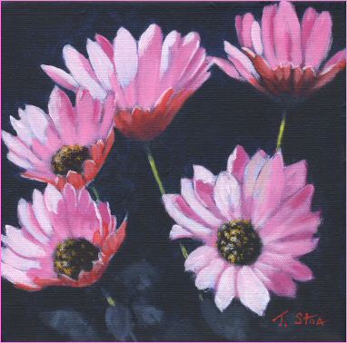 382x378 Osteospermum Flower Painting Box Canvas - Small Flower Painting