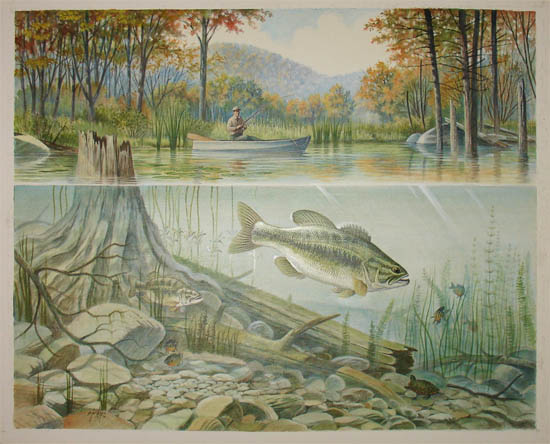 550x444 Sporting Art, Fishing, Small Mouth Bass, Ron Jenkins, Watercolor - Smallmouth Bass Painting