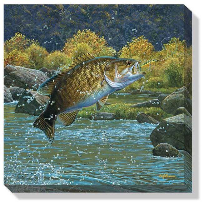 650x650 Tail Walking (Smallmouth Bass) Wrapped Canvas Art - Smallmouth Bass Painting