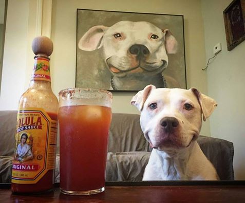 477x395 My Friend Has A Painting Of His Dog With His Goofy Smile - Smiling Dog Painting