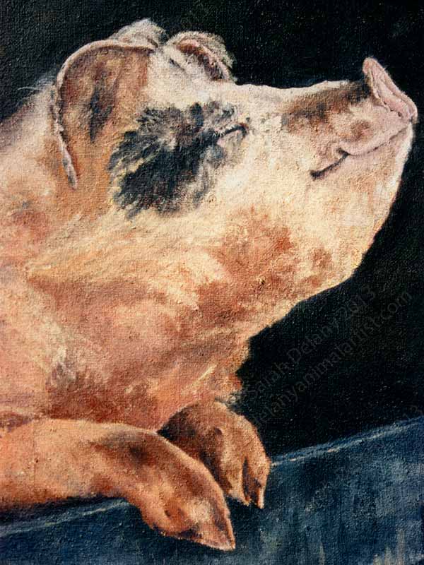 600x800 Sarah Delany Originals - Smiling Dog Painting