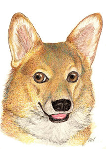 214x300 Smile Dog Paintings - Smiling Dog Painting