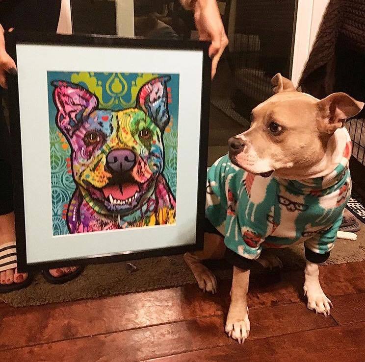 744x739 I'M A Pit Bull 100% Full Canvas Square Drill Diamond Paintings - Smiling Pitbull Painting