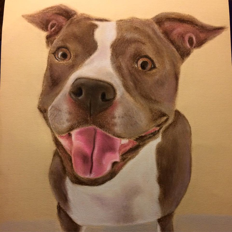 894x894 Smiling Pitbull By Louloumooshu - Smiling Pitbull Painting